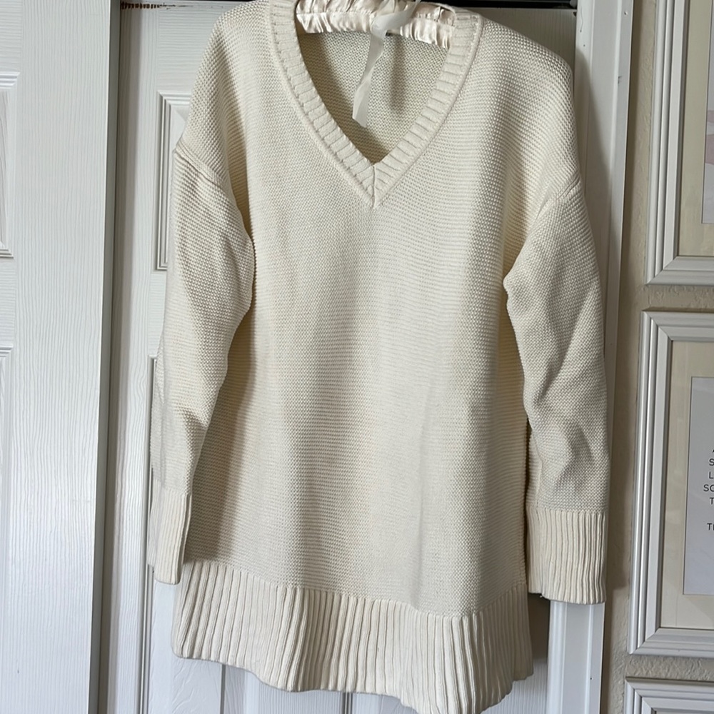 Sz M Everlane cotton vneck sweater